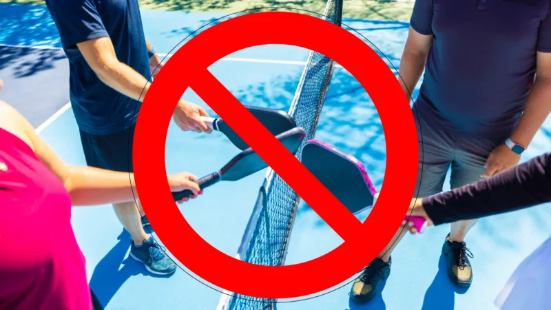 should pickleball be banned or not the debate between players